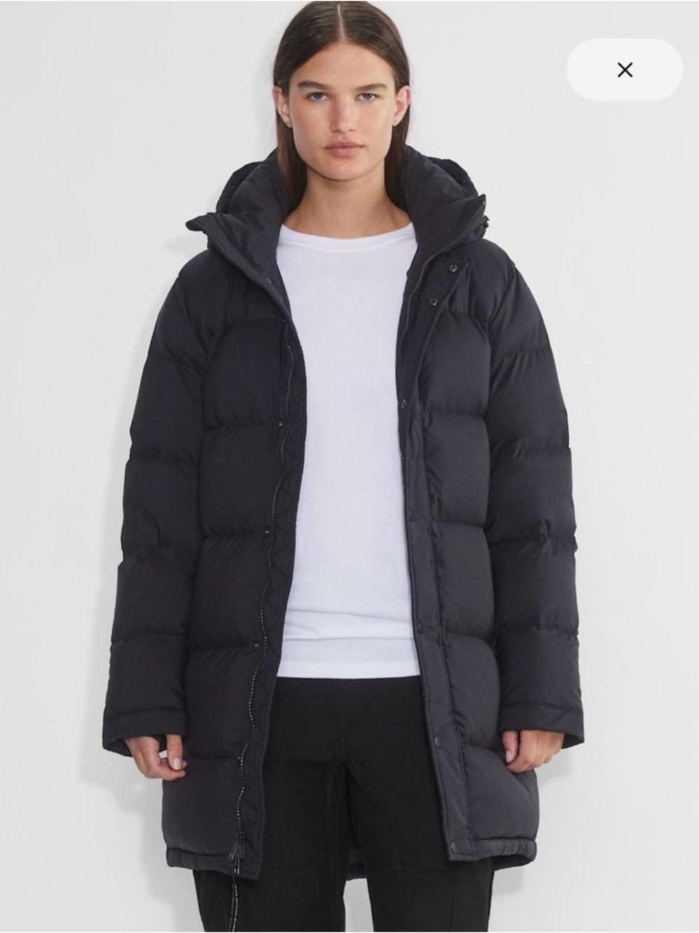Aritzia Black Long Down Puffer Coat with Hood
